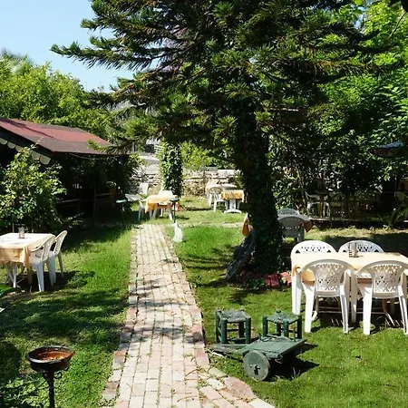 Sesra Garden Hotel Hotel 3*